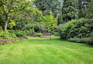 Optimiser l'expérience du jardin à La Gimond
